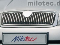 Μάσκα νίκελ Skoda Fabia I