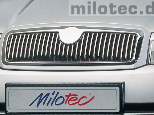 Μάσκα νίκελ Skoda Fabia I