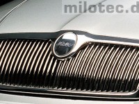 Πισινό σήμα Skoda