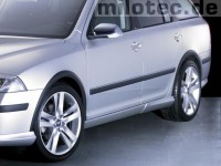 Διακοσμητικά φτερών Skoda Octavia II