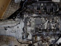 DSC02338-500x323