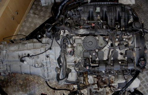 DSC02338-500x323