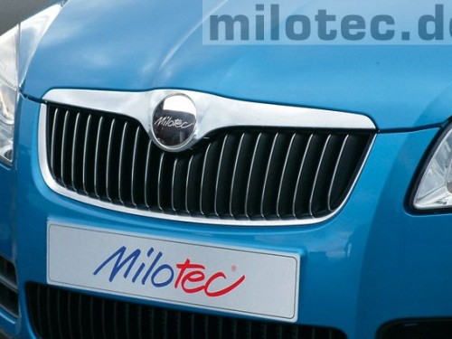 Νίκελ μάσκας Skoda Fabia II