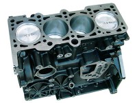 Κορμός 20V